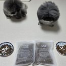 ANF 강아지사료 후기 연령별 맞춤 사료로 바꿔본 솔직 급여 기록