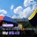 해남군문화예술회관 | 해남 가볼만한 곳, 쇼핑, 문화, 휴식이 공존하는 여행 필수 코스 해남 매일시장 소개