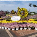 배산체육공원 축구장 이미지