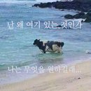 미쳤어(positive)