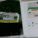새싹향기농장