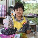 수화농장 이미지