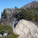버스정류장 07-437 | 옹강산(남릉-중간릉) /경북 청도