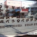 켈란썬팅북