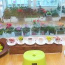 카페꽃길 이미지