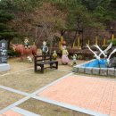 솔향공원 소나무전시관 네이버블로그