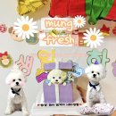 멍프레시 이미지