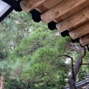 산죽칼국수 이미지