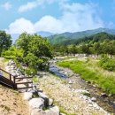 소금강냇물소리펜션 이미지