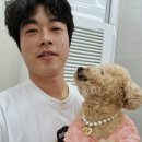 햄살롱 네이버블로그