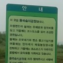 적성교차로 Daum카페