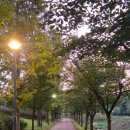 옵티마하나로약국 이미지