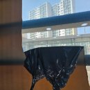 햇빛약국 이미지