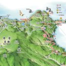 울릉벚꽃 이미지