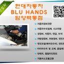 담양백동점현대자동차