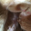 중마동물병원 이미지