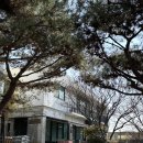 청주 정상동 드립커피 전문점 카페 스티즈커피로스터즈 후기