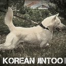 복 이미지