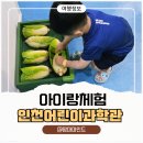 방축로 | 인천어린이과학관 예약 필수! 아이와 가볼만한곳 솔직 후기