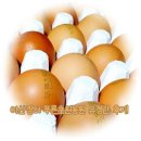 푸른초원농원 | 유정란 가격이 착한 아산장터 푸른초원농원 후기