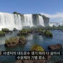 활인성 노래 _ 15.수운제자(水雲弟子) 소식(消息) 간다 이미지