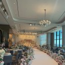 세인트41 이미지