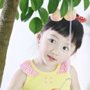 후르츠스푼