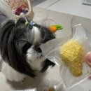 두쓰리집 이미지