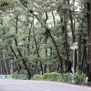 전촌솔밭해수욕장 이미지