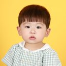 호랑이사진관 이미지