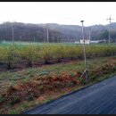 세윤농장 이미지