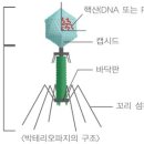 에이플러스과학나라 이미지