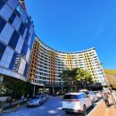 민둥산하이원민박 이미지