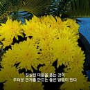 사철농장 이미지