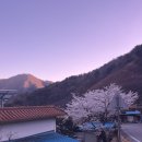 참좋은궁