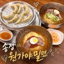 송정 | 송정 밀면 맛집 원가야밀면 송정본점 솔직후기
