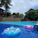 캠핑트리펜션 이미지