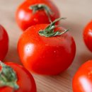 토마토 이미지