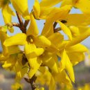 태영농장 이미지