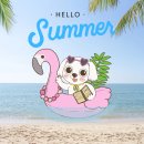 대한논리속독학회마포학원 이미지