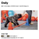 펌킨하우스