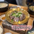 우홍백 | [부산] 경성대 돼지국밥 맛집 추천 우홍백돼지국밥