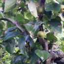 하모니민박 이미지