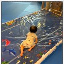 (주)골드프라자 | 짐보리 세종 / 10개월 아기 크롤러반 / 20%할인 / 솔직후기