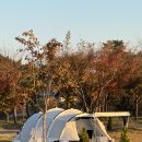 솔밭캠핑장 - 포항시 북구 해안로 2952 | 6살 아이와 다녀온 충주 목계솔밭캠핑장 첫 가족 캠핑 후기 | 2박 3일 가을 캠핑 솔직 후기