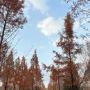 태동농장2 | 경기도 안산 가볼만한곳 실내데이트 추천 경기도미술관 &lt;비물질:표현과 생각 사이의 틈&gt; 취재 후기