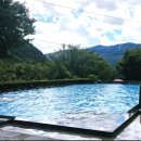 미르오토캠핑장 | 밀양 벚꽃 캠핑 명소 🌸 미르캠핑장 솔직 후기 (예약 꿀팁 포함)