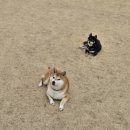 워니시티 이미지