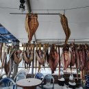 도리포유원지 Daum카페