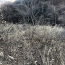 북산면사무소 이미지